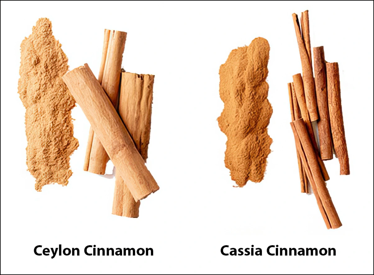 Cassia_Cinnamon