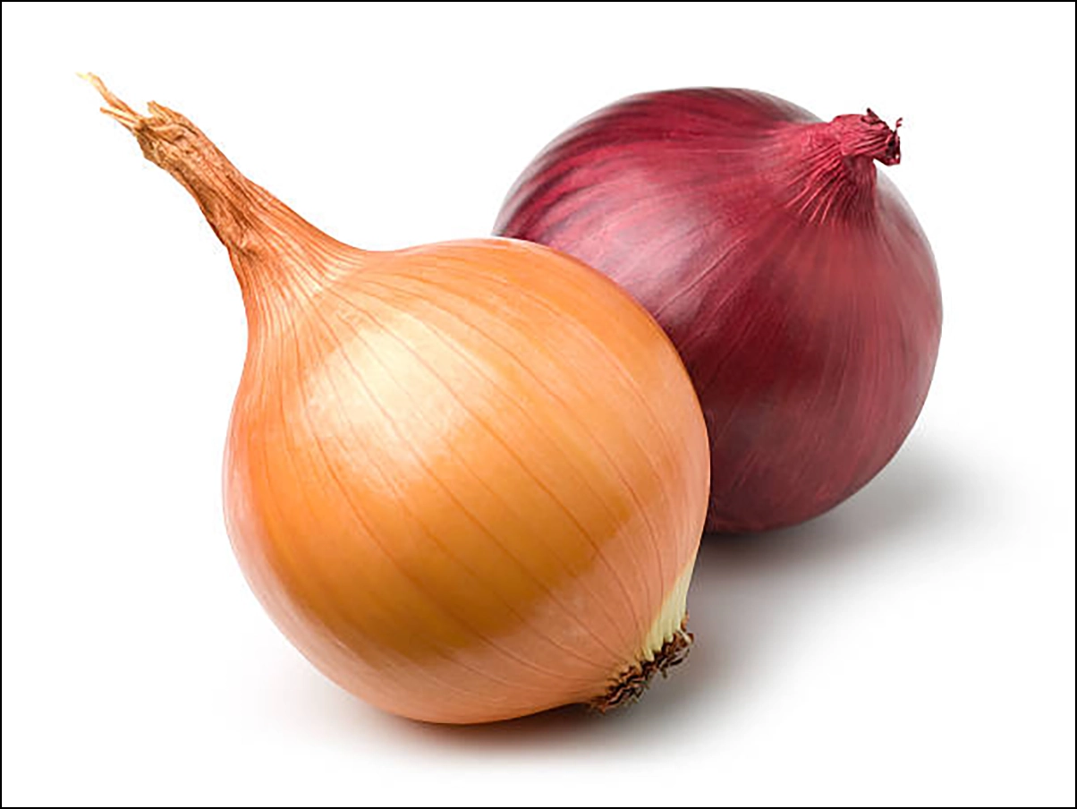 Spanish and red onions